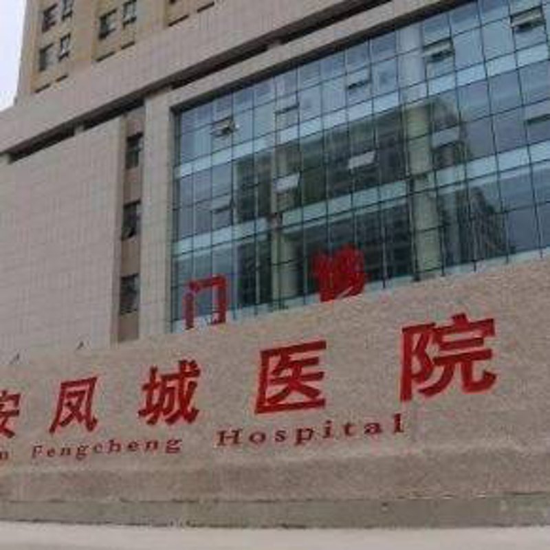 探索现代建筑中的凤城铝板幕墙